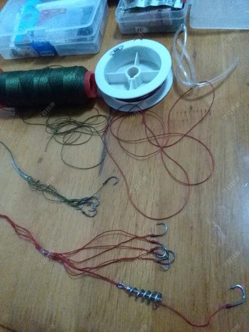 新手入门指南：合规钓具选购 + 黄金钓点选择技巧