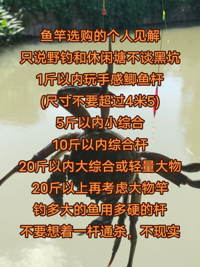 抬钓黑科技：横跨水域的垂钓神器，四川钓友的独家秘籍