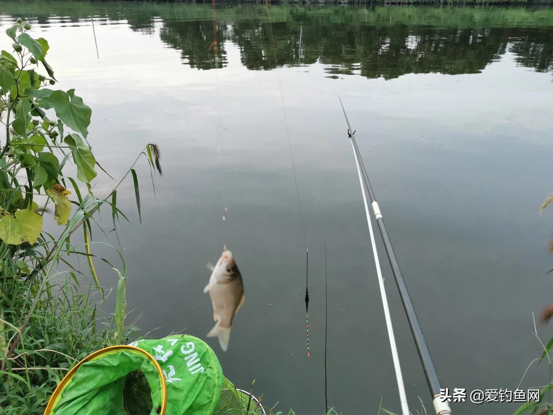 钓鱼摄影技巧：手机拍出大片感，朋友圈点赞破万