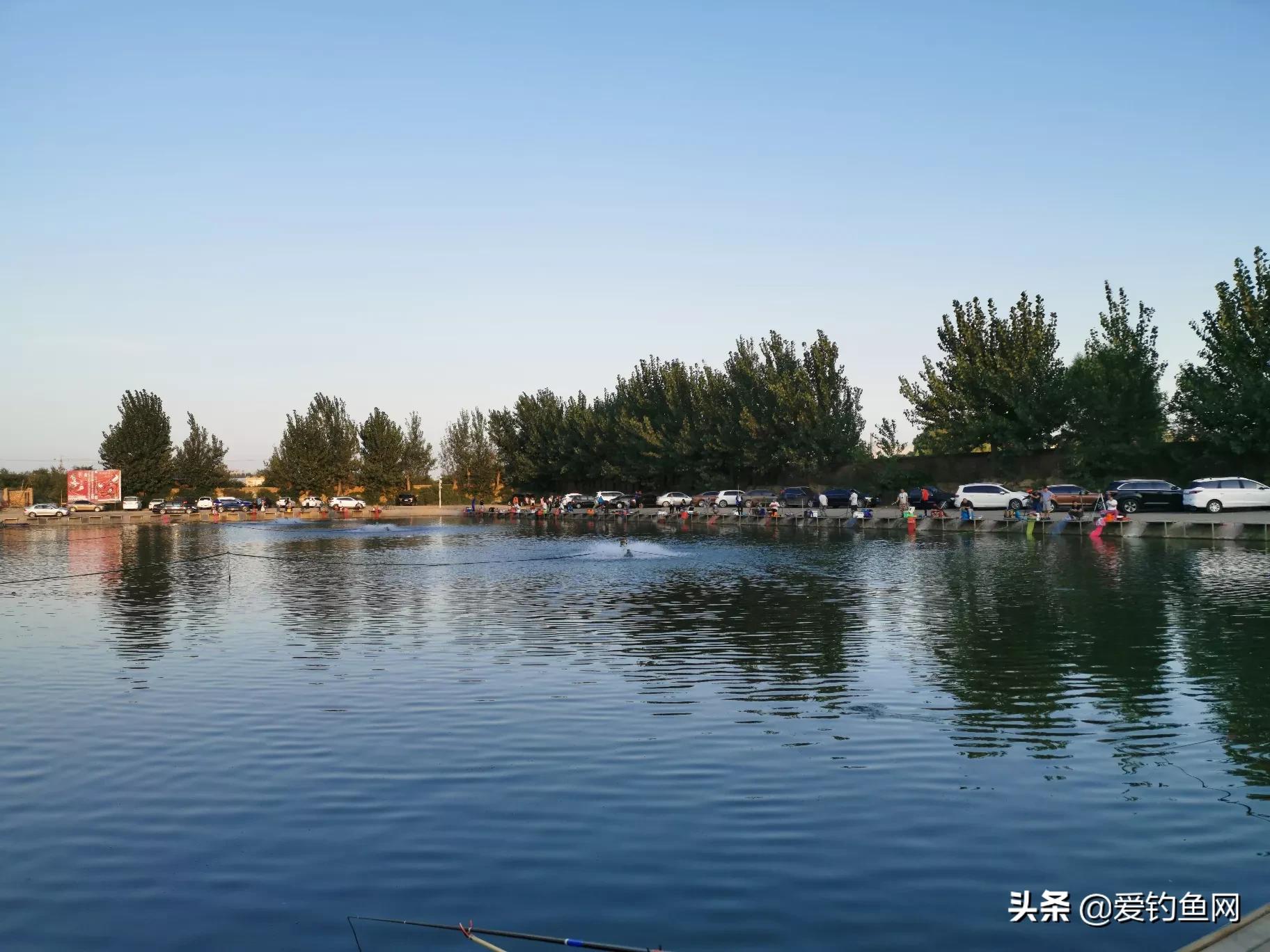 钓鱼摄影技巧：手机拍出大片感，朋友圈点赞破万