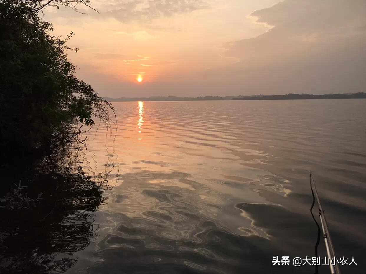 夜钓保命装备：蓝光灯 + 驱蚊手环，暴雨天逆袭 21 斤草鱼