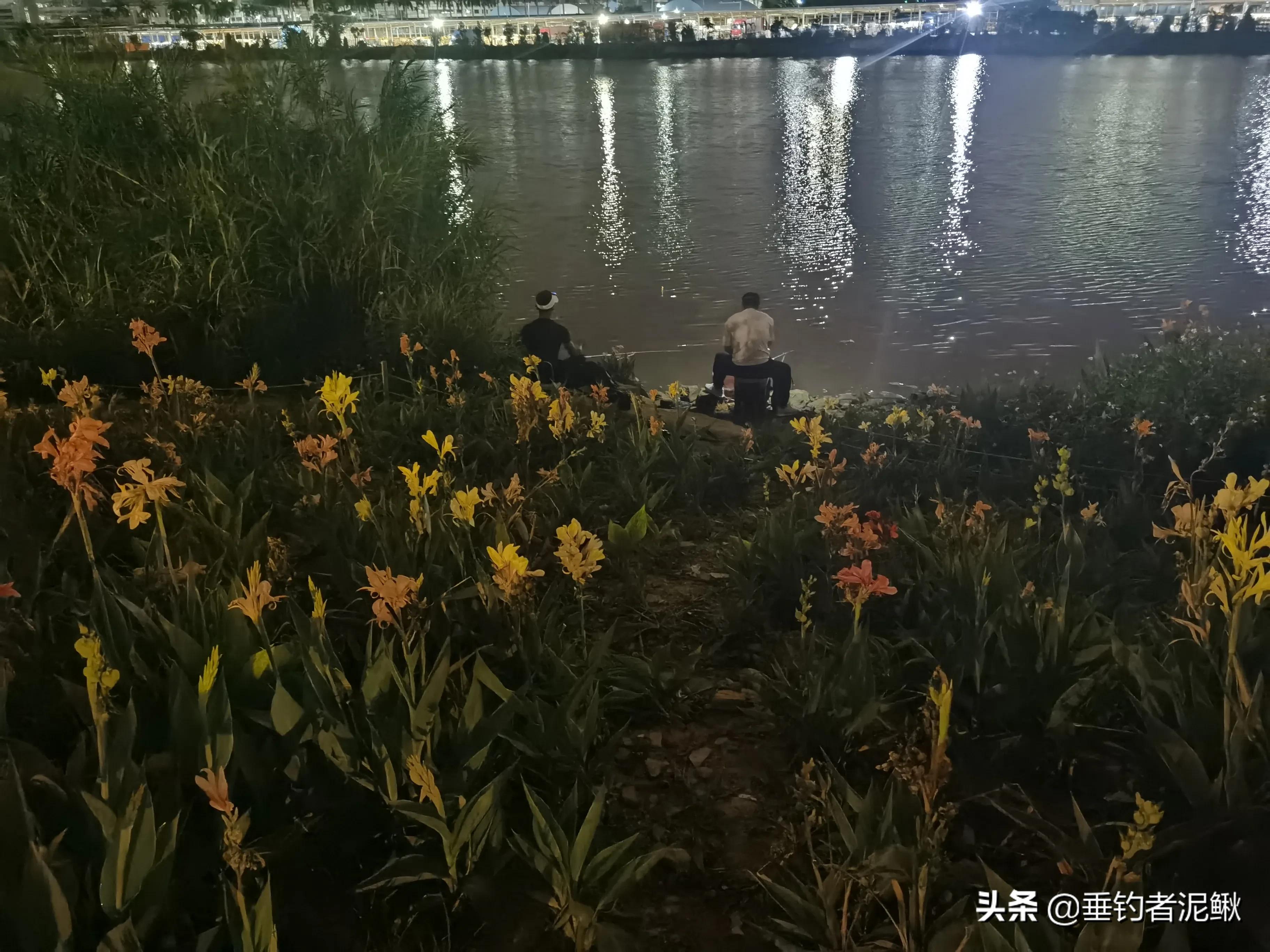 钓鱼竞技化：职业钓手年薪百万，业余爱好者何去何从？