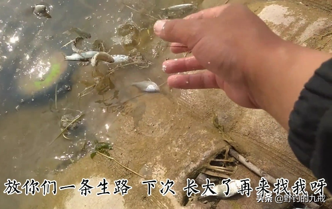 钓鱼竞技化：职业钓手年薪百万，业余爱好者何去何从？