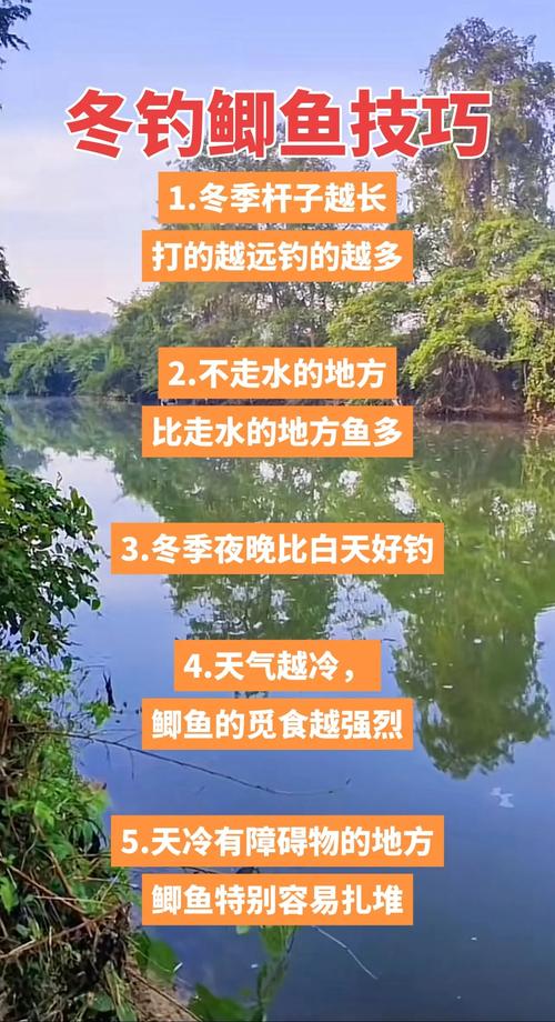 （季节热点 + 实用技巧，吸引进阶钓友）