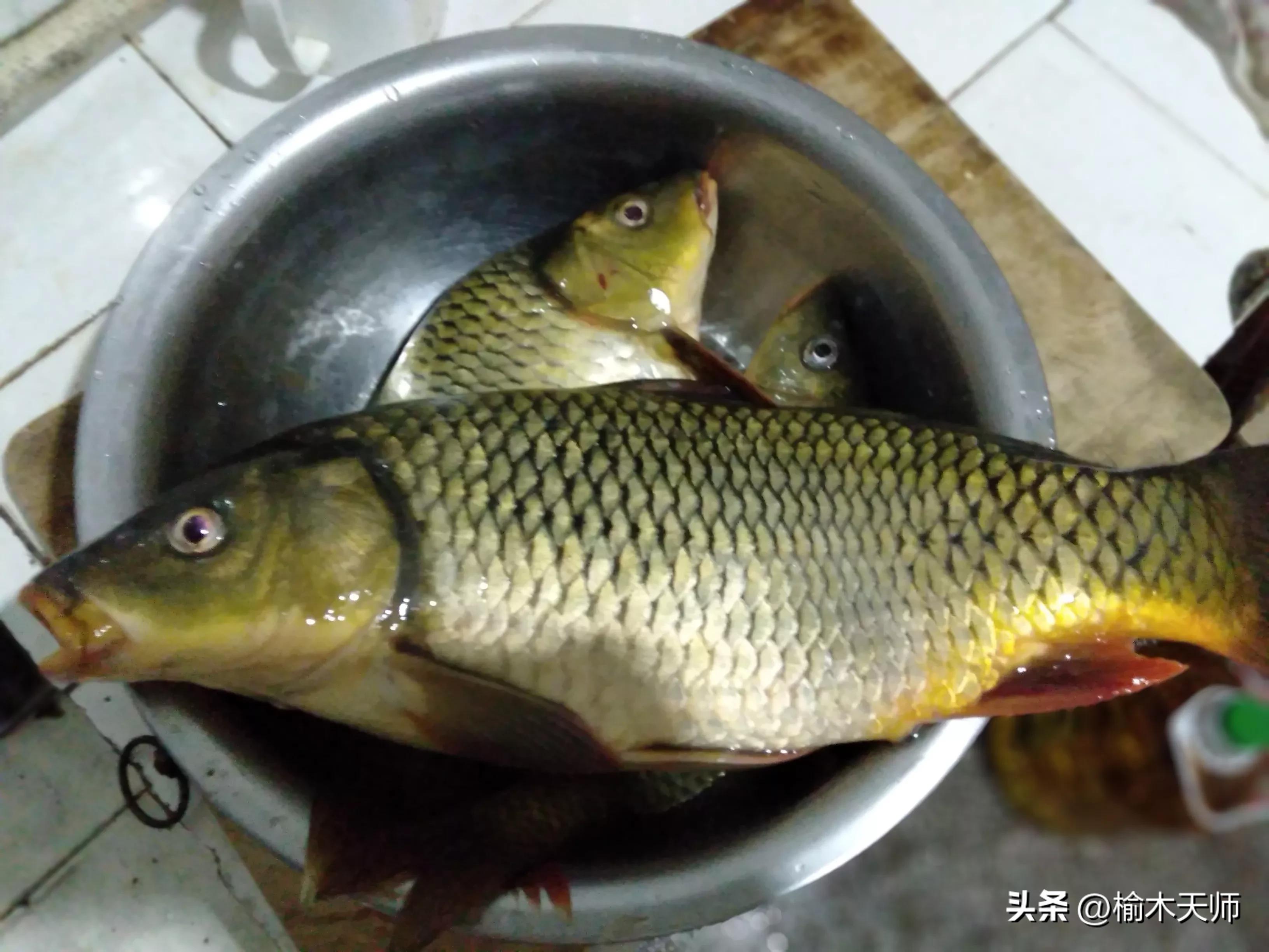 研究证实：钓鱼提升幸福感，压力激素下降 70%