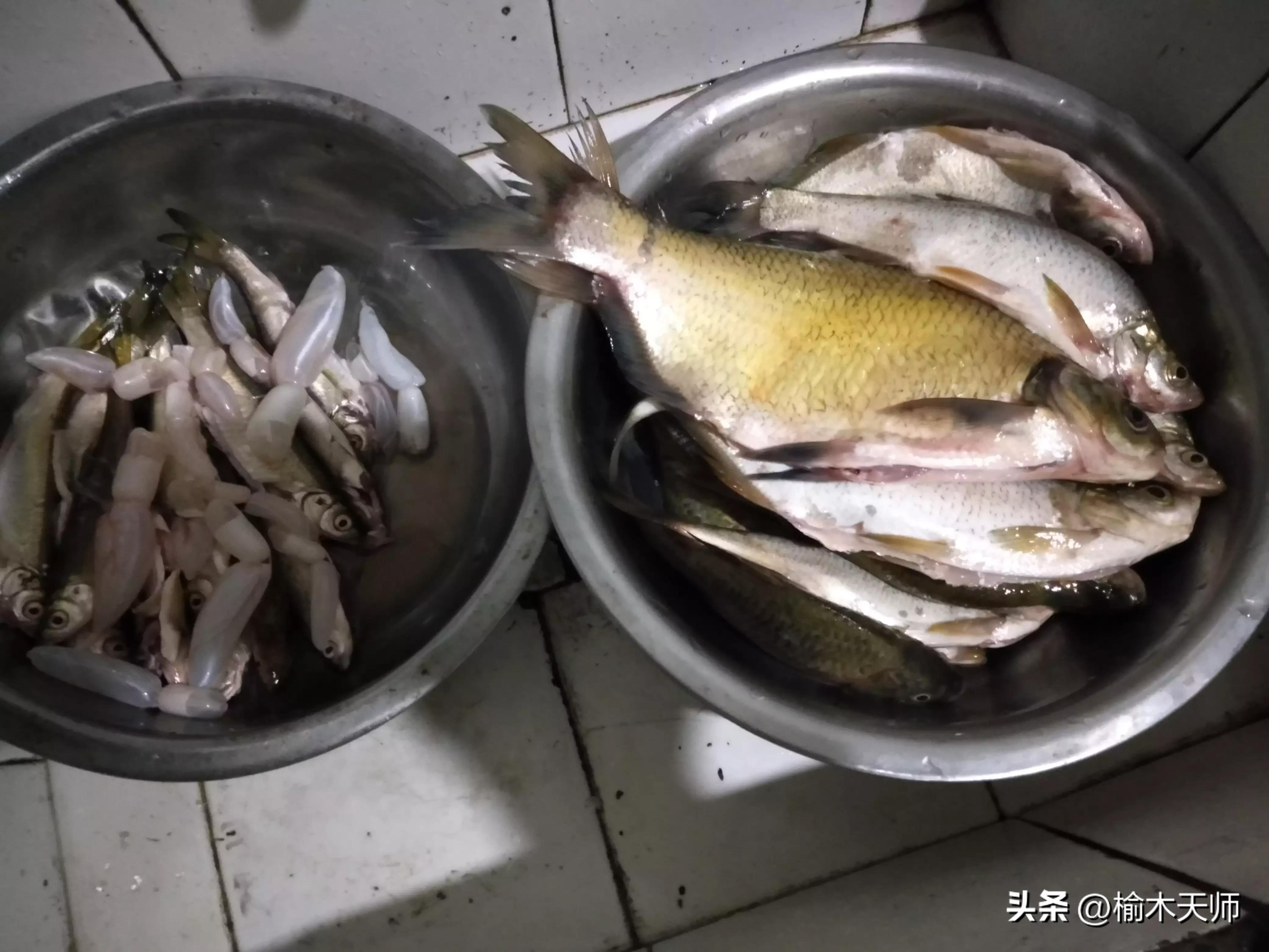研究证实：钓鱼提升幸福感，压力激素下降 70%