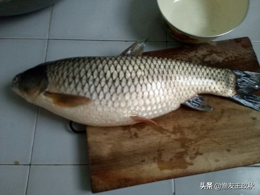 钓鱼终极挑战：钓遍中国所有水域，钓友：退休后目标