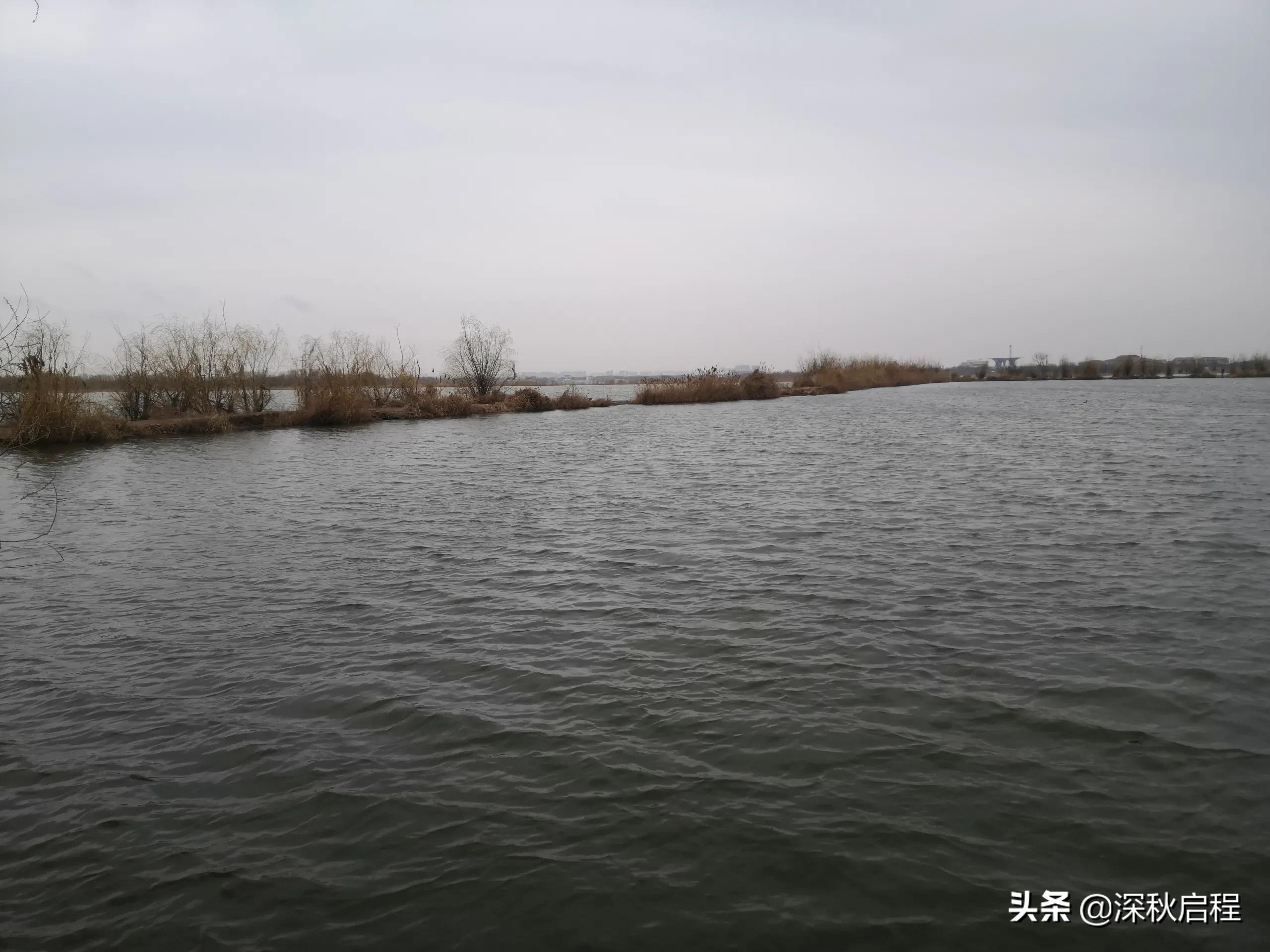 钓鱼直播伦理：为流量伪造渔获，诚信何在？