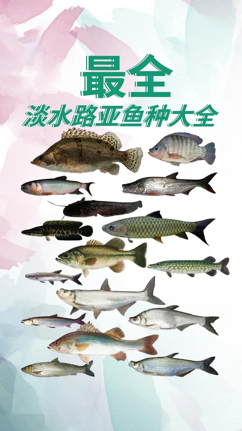 上饶信江河野钓攻略！钓位推荐 + 鱼种解析，本地钓友必看