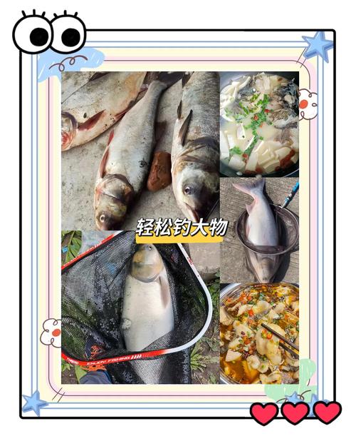 钓鱼破坏生态？科学家：过度捕捞导致水质恶化，鲢鳙成关键