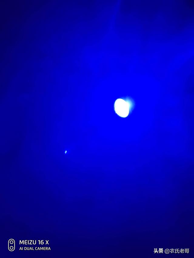 夜钓安全指南：防蛇虫 + 急救包，野外生存必备