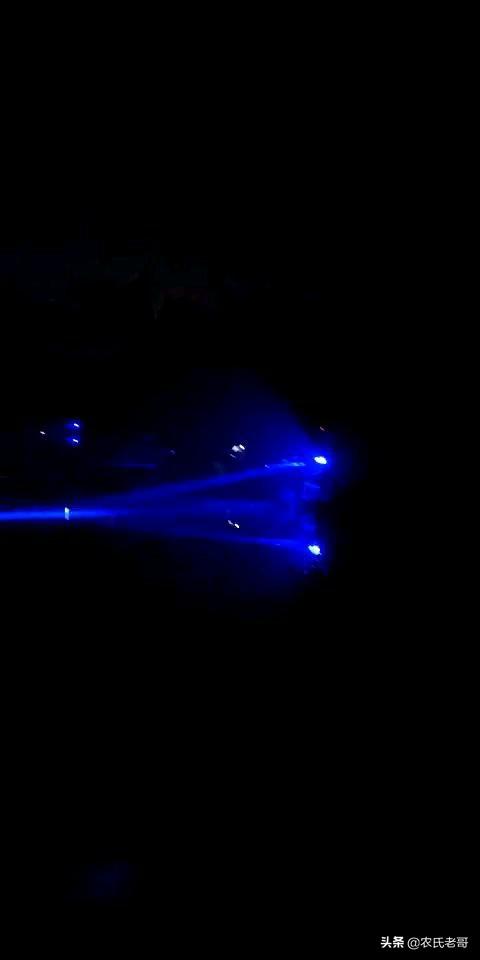 夜钓安全指南：防蛇虫 + 急救包，野外生存必备